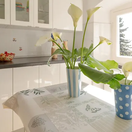 Apartment Agostina Vesima