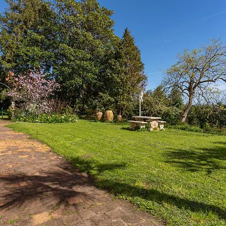 Agostina Daire Vesima