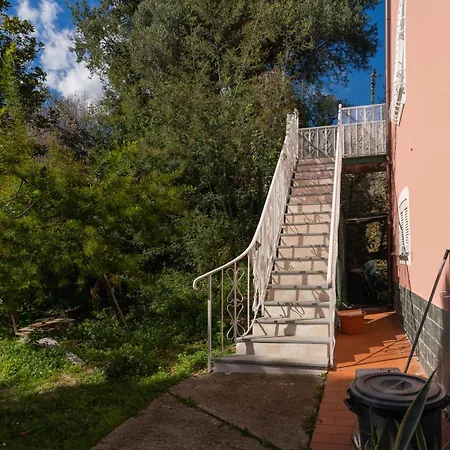 Agostina Daire Vesima