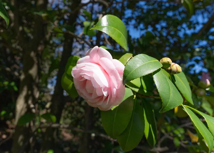 Agostina Appartement Vesima
