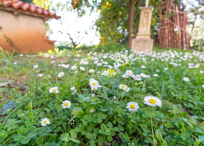 Agostina Appartement